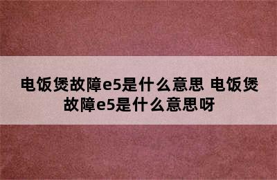 电饭煲故障e5是什么意思 电饭煲故障e5是什么意思呀